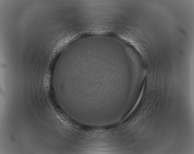 X0000090900736200708061503