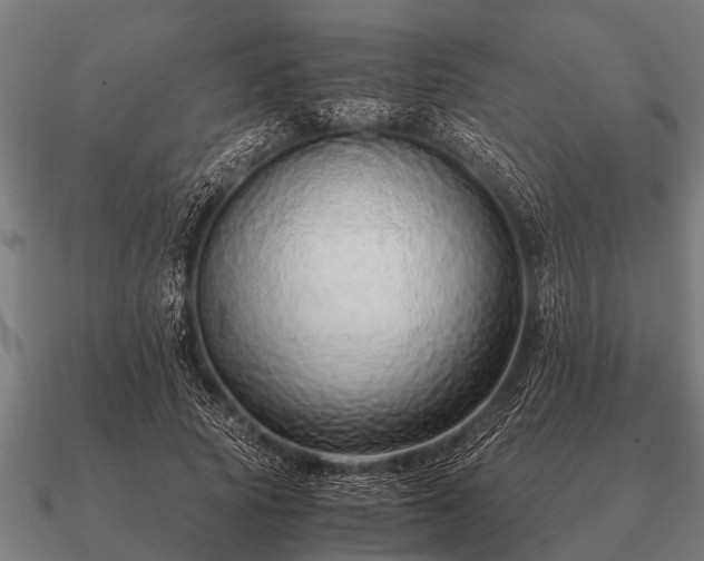 X0000090900737200708061503