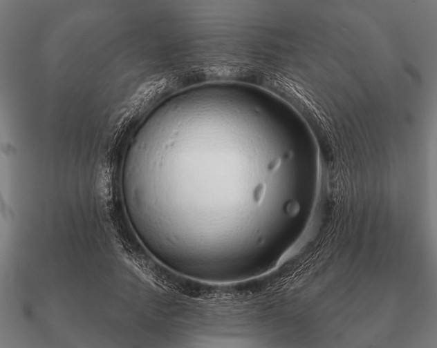 X0000090900738200708061503