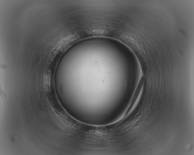 X0000090900739200708061503