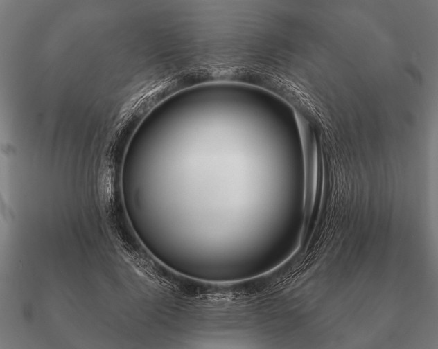 X0000090900740200708061503