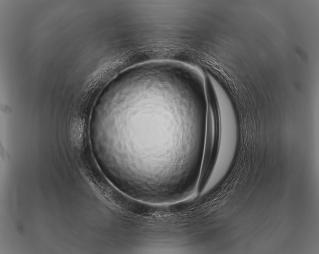 X0000090900742200708061503