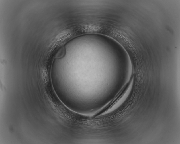 X0000090900743200708061503