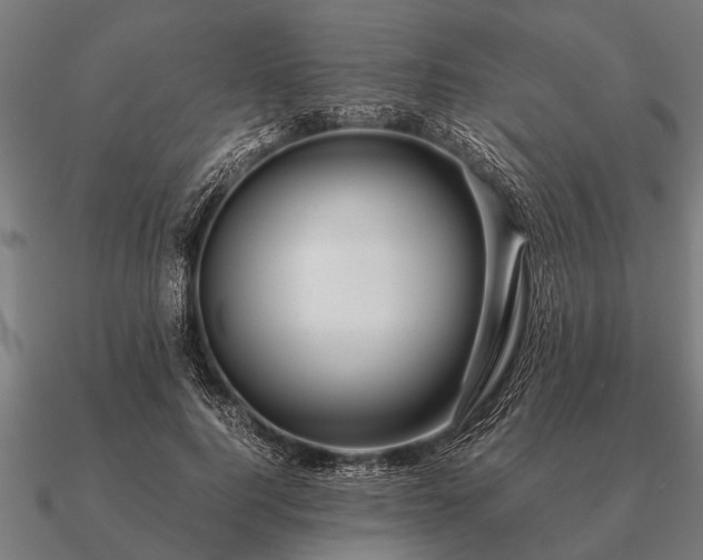 X0000090900744200708061503