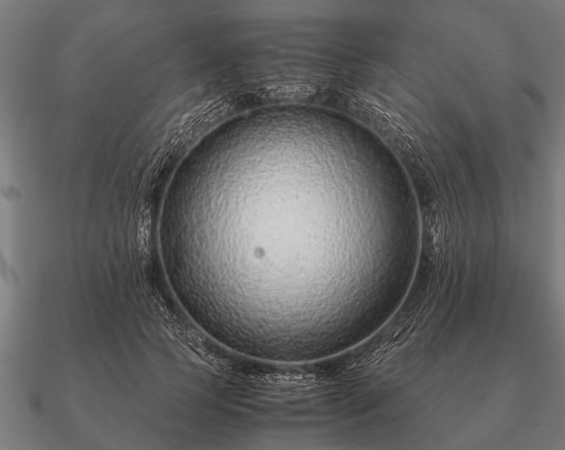 X0000090900745200708061503