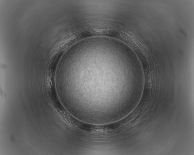 X0000090900746200708061503