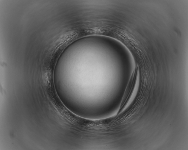 X0000090900747200708061503