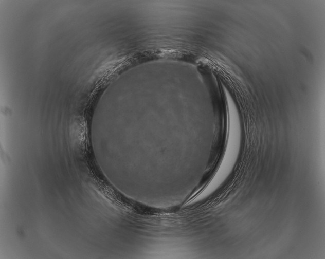 X0000090900748200708061503