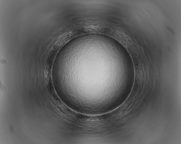 X0000090900749200708061503