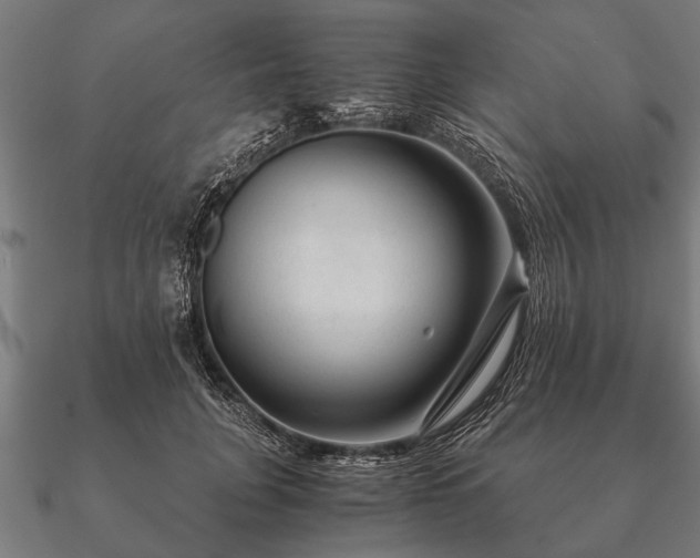 X0000090900751200708061504