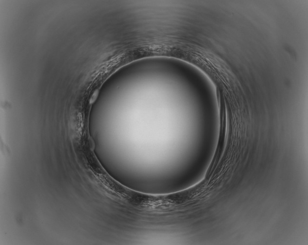 X0000090900752200708061504