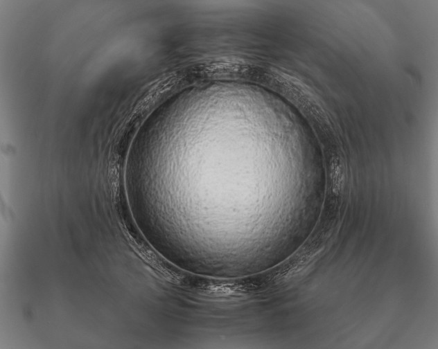 X0000090900753200708061504