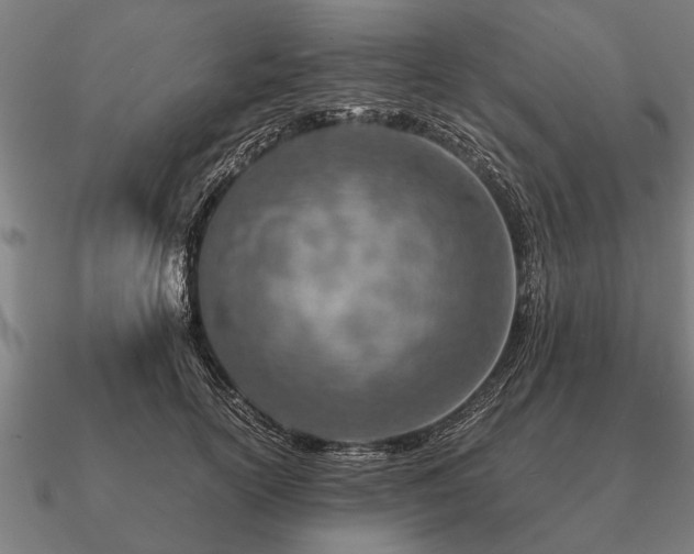 X0000090900754200708061504