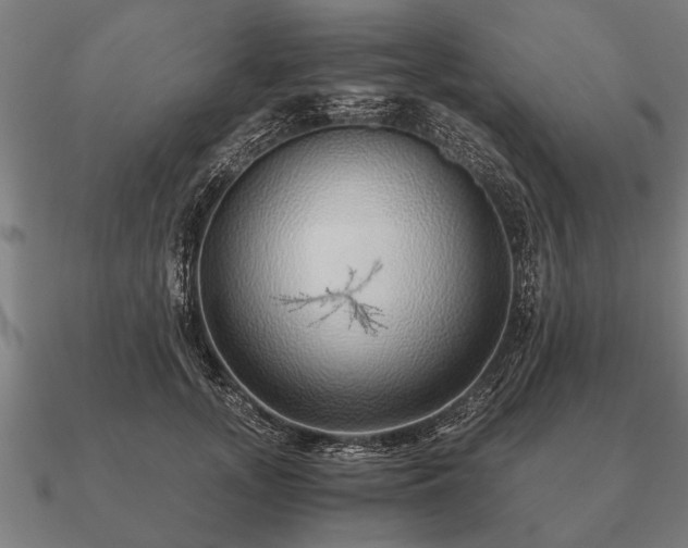 X0000090900755200708061504