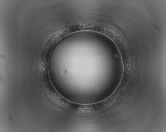 X0000090900756200708061504