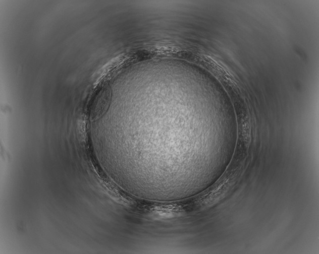 X0000090900757200708061504