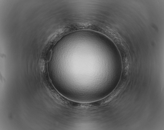 X0000090900758200708061504