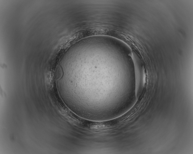 X0000090900759200708061504