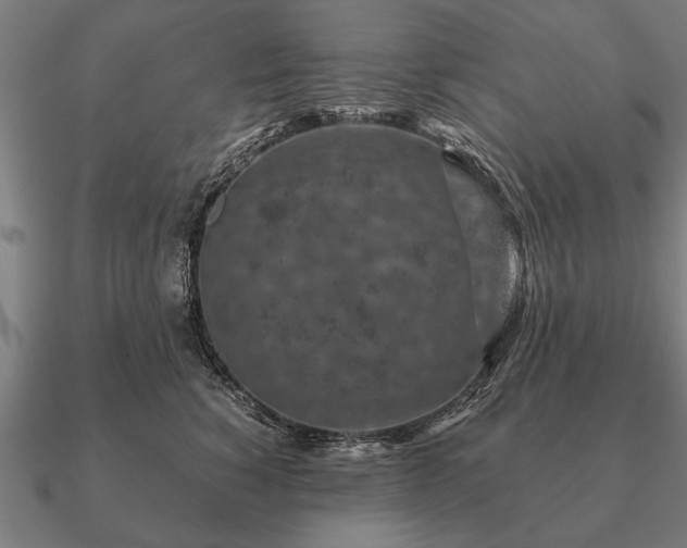 X0000090900760200708061504