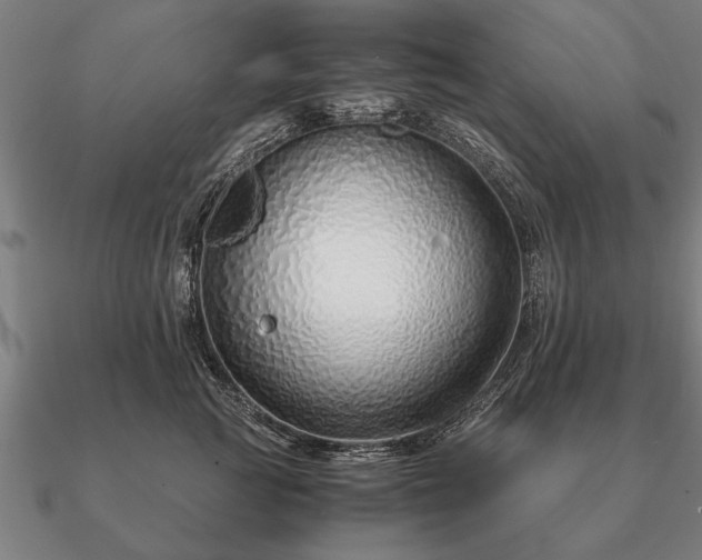 X0000090900761200708061504