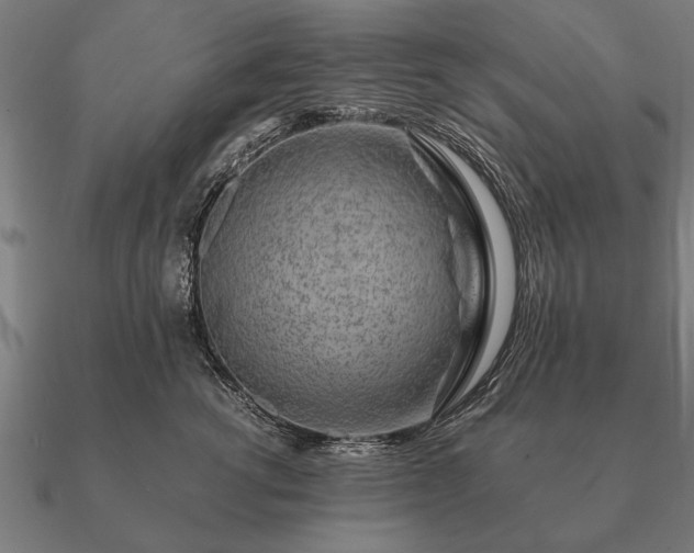 X0000090900762200708061504