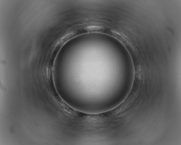 X0000090900763200708061504