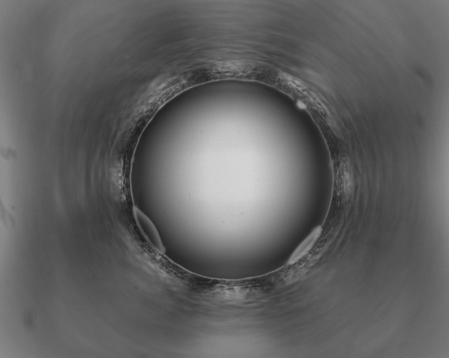 X0000090900764200708061504