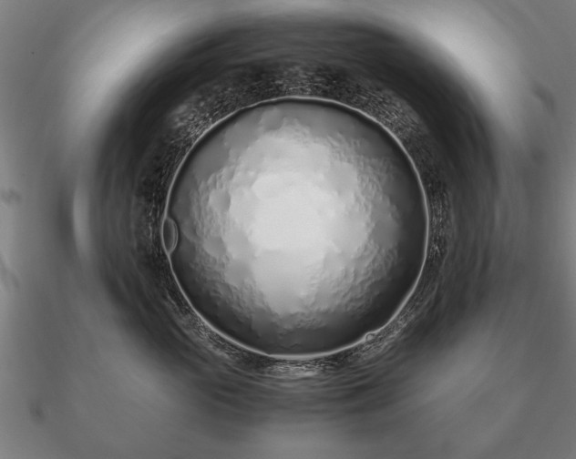 X0000090900765200708061504