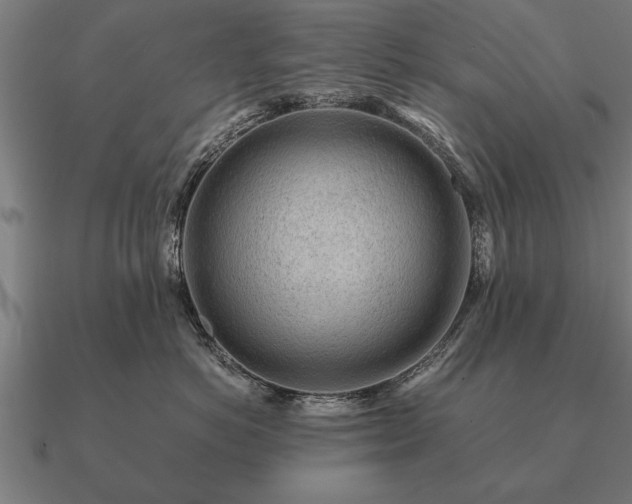 X0000090900766200708061504