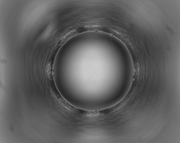 X0000090900767200708061504