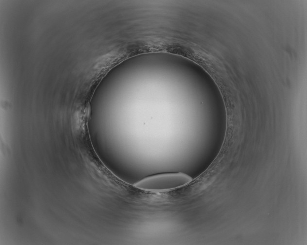 X0000090900768200708061504