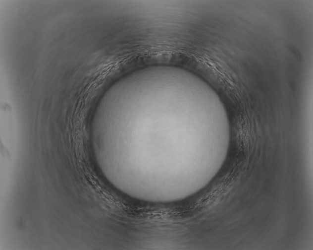 X0000090900769200708061503