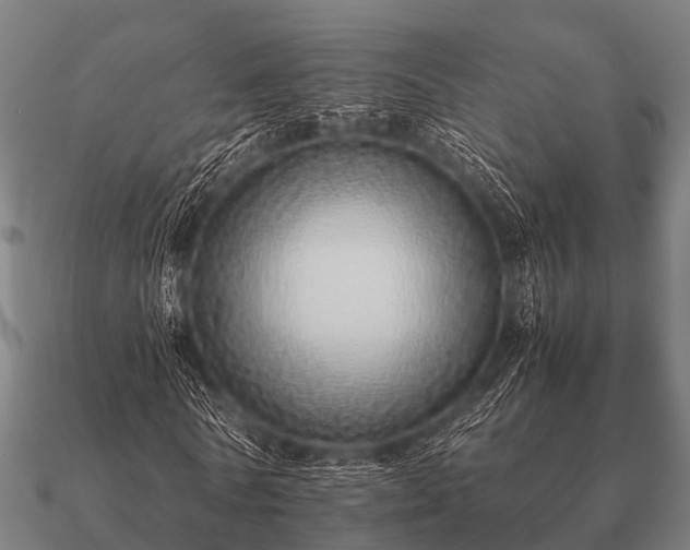 X0000090900770200708061503