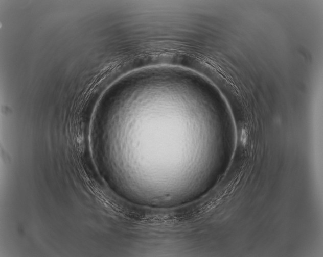 X0000090900771200708061503