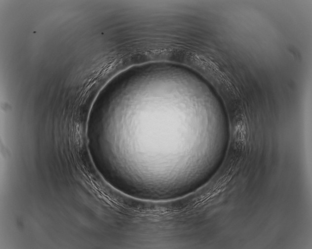 X0000090900772200708061503