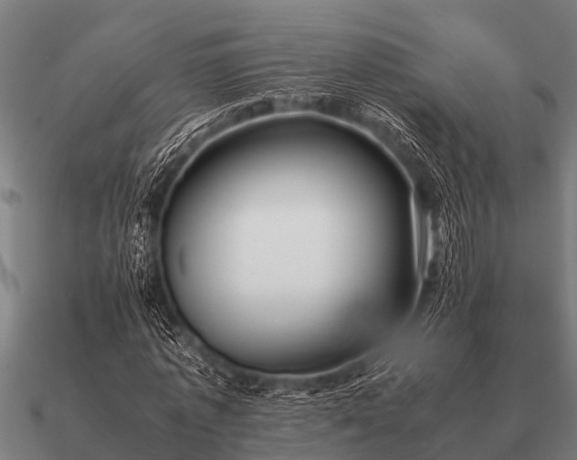 X0000090900773200708061503