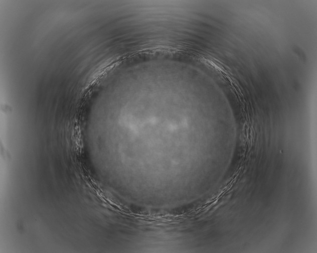 X0000090900774200708061503