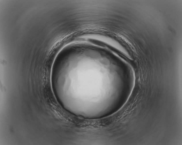 X0000090900775200708061503