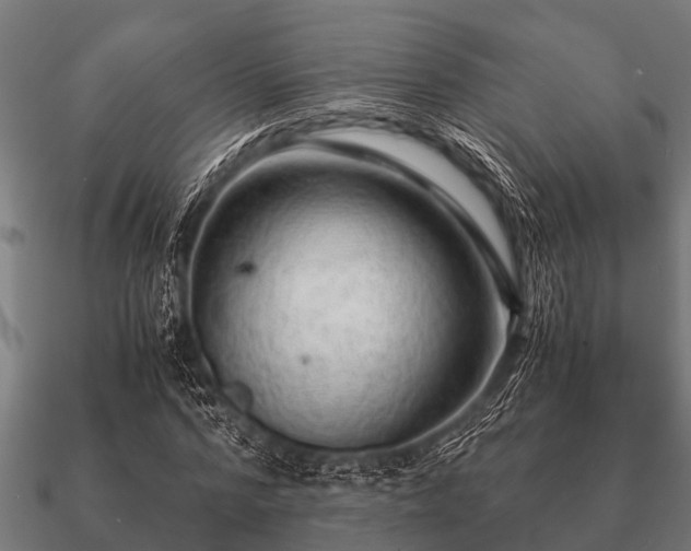 X0000090900776200708061503