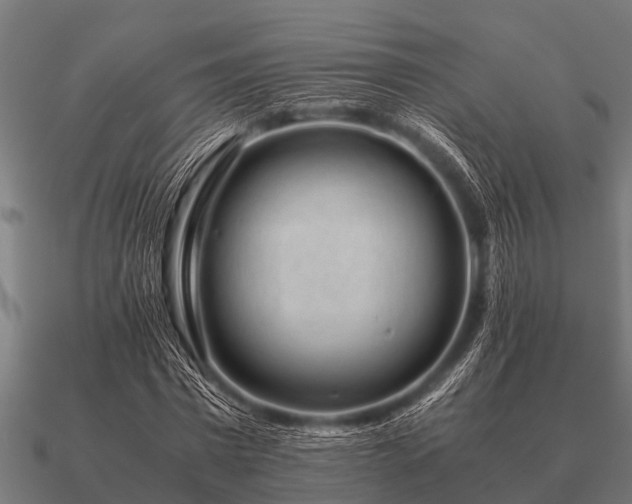 X0000090900777200708061503