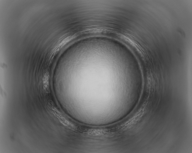 X0000090900778200708061503