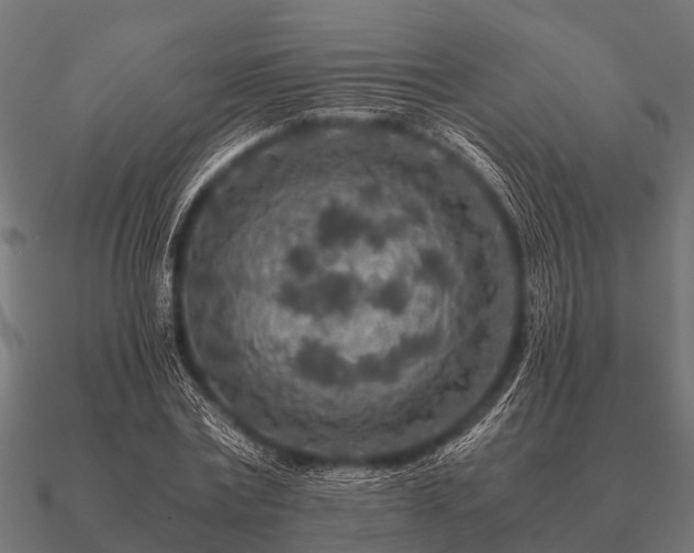 X0000090900779200708061503