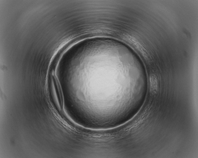 X0000090900780200708061503