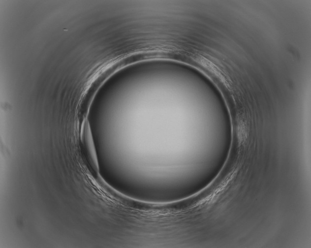 X0000090900781200708061503