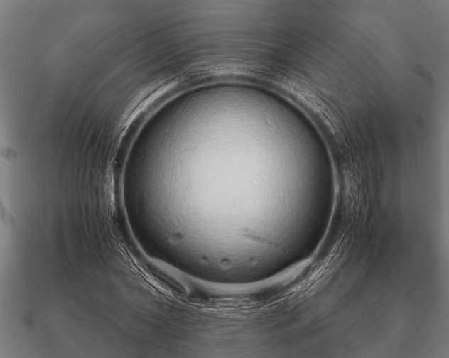 X0000090900782200708061503