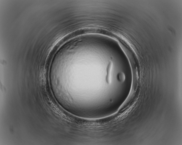 X0000090900783200708061503