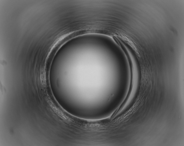 X0000090900784200708061503