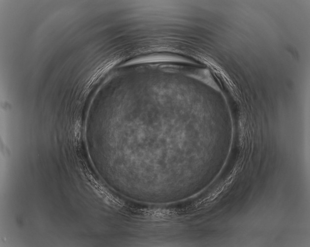 X0000090900785200708061503