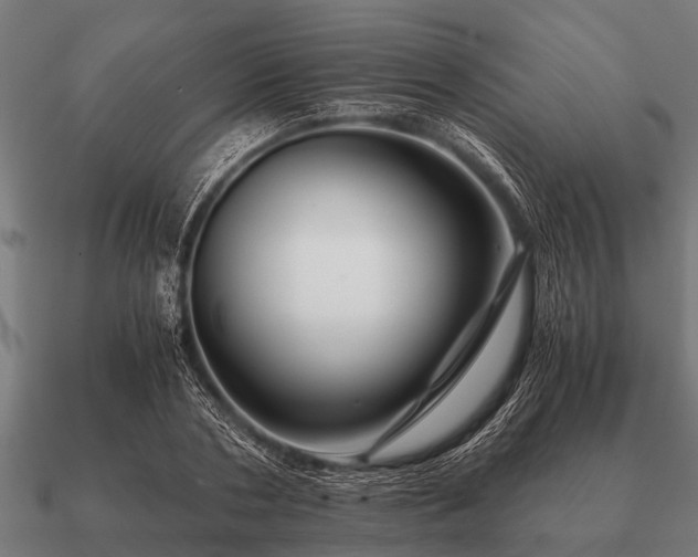 X0000090900786200708061503