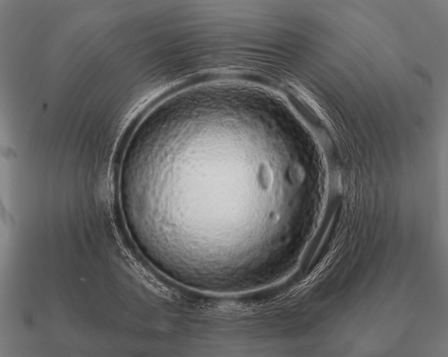 X0000090900787200708061503